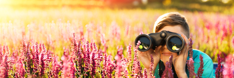 Teenage boy with binoculars in field on sunny day. Banner design