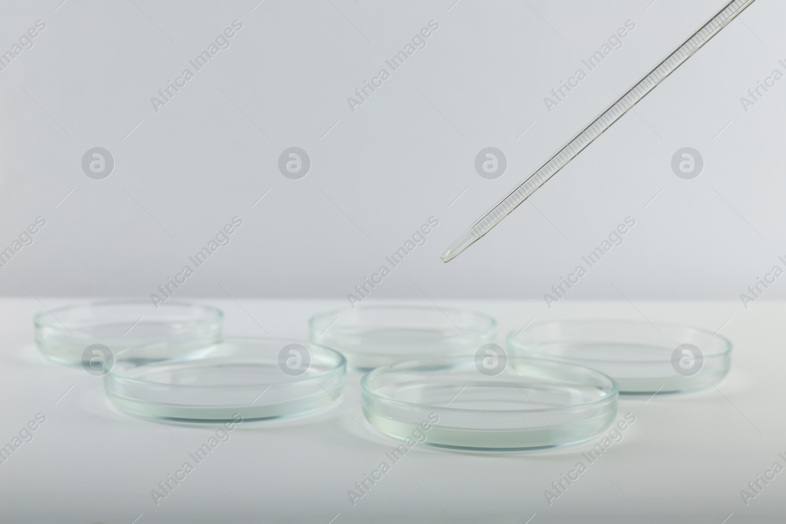 Photo of Pipette over petri dish on light background