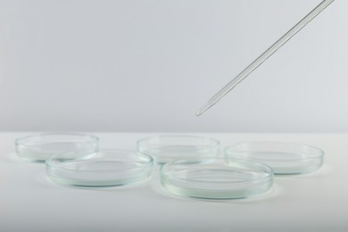 Pipette over petri dish on light background