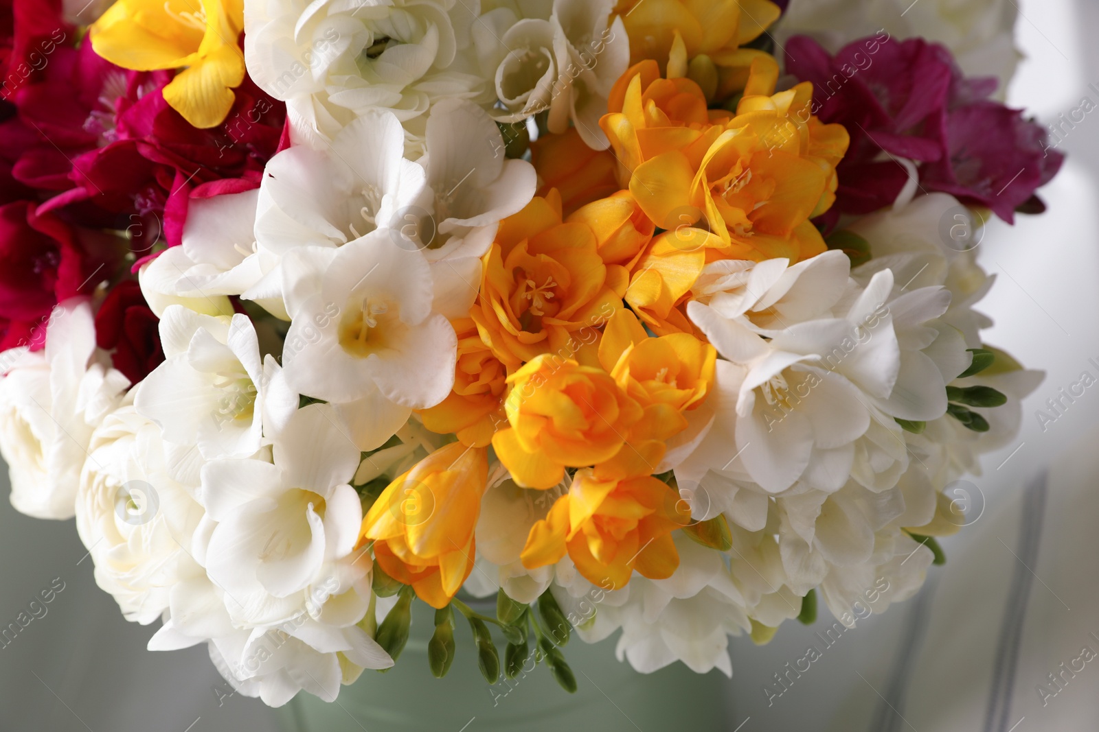 Photo of Beautiful bouquet with fresh freesia flowers on light background, closeup