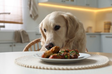 Photo of Cute dog trying to steal fried meat from table in kitchen