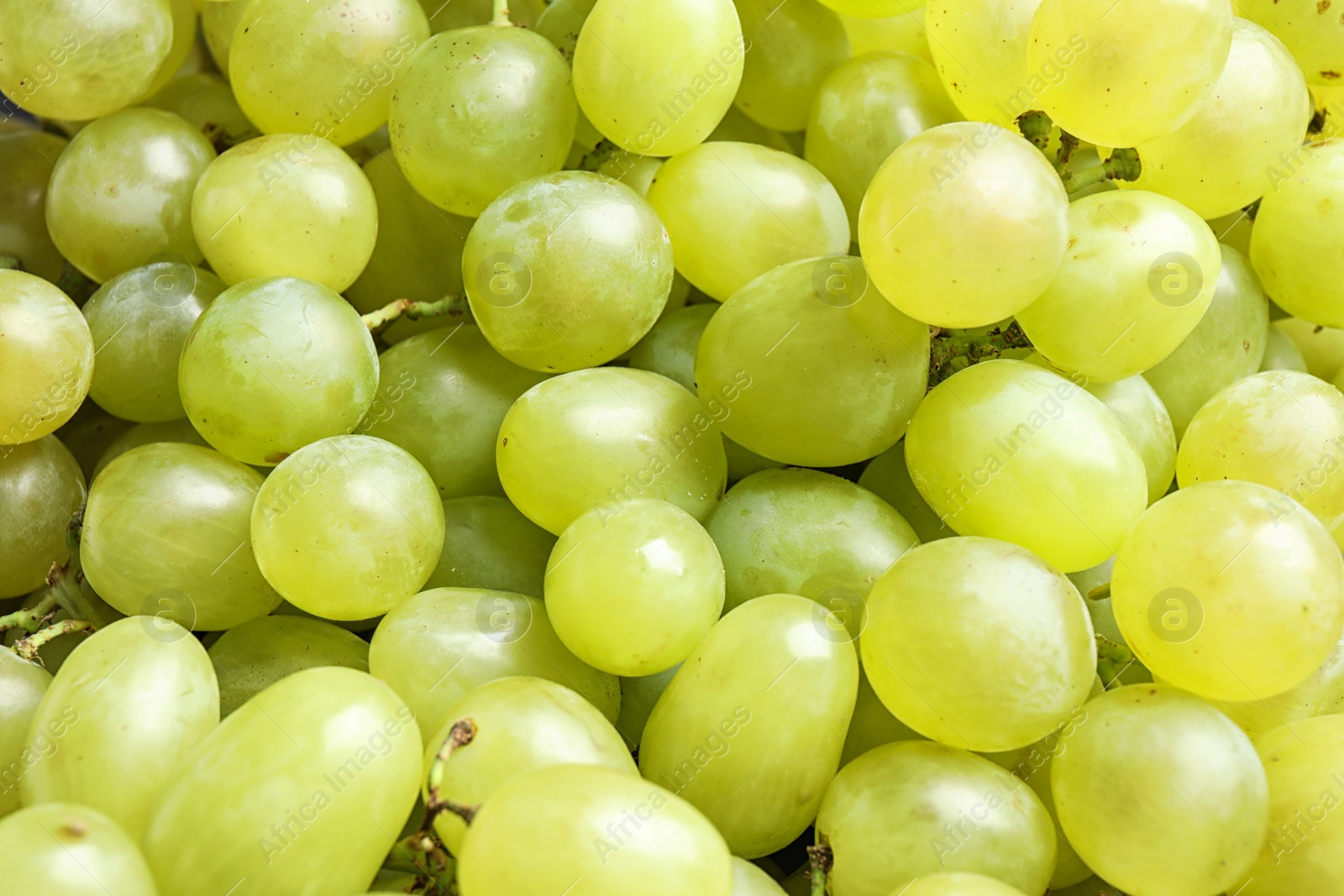 Photo of Fresh ripe juicy white grapes as background, closeup view