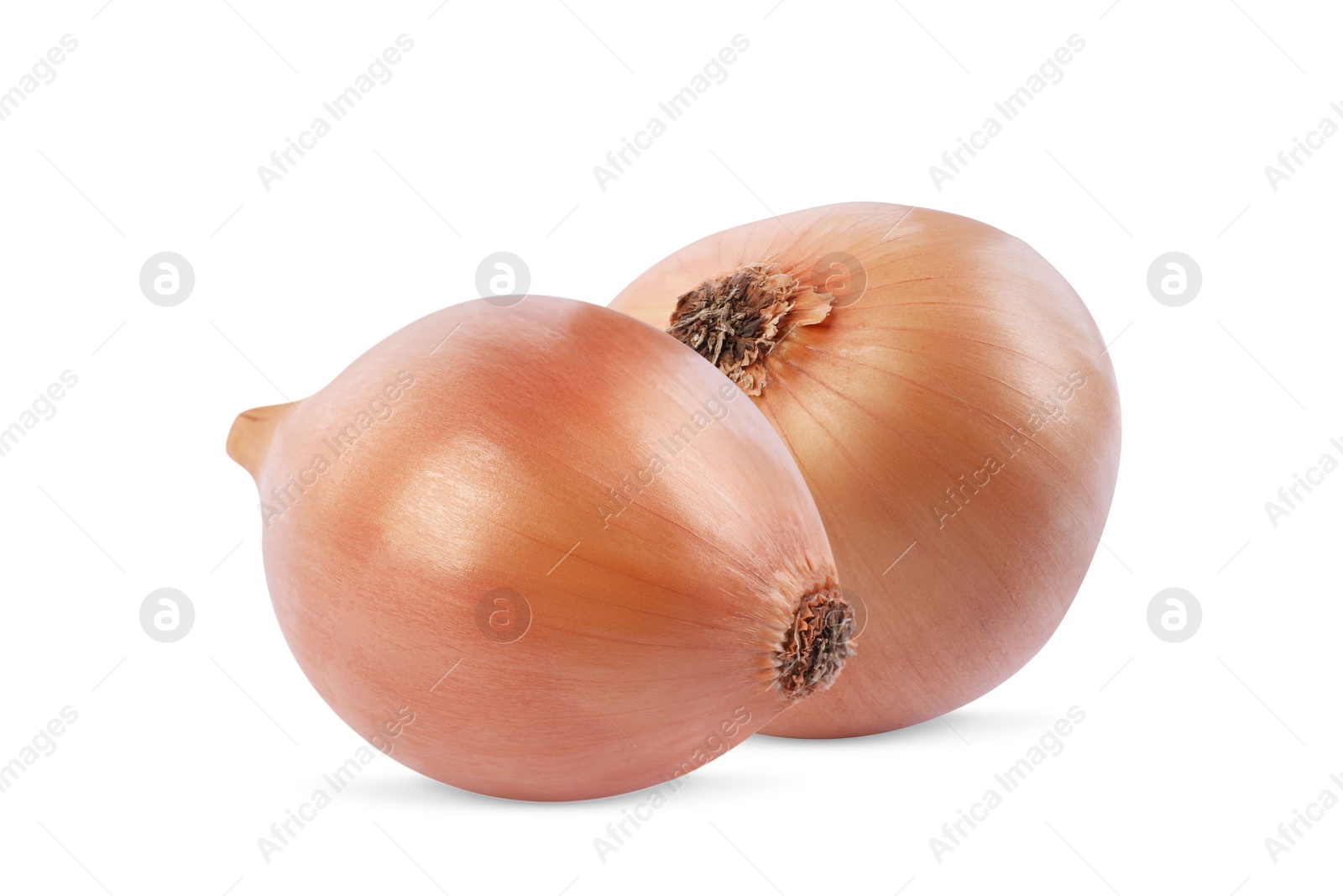 Image of Two whole fresh onion bulbs isolated on white