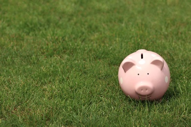 Photo of Cute piggy bank on green grass outdoors. Space for text