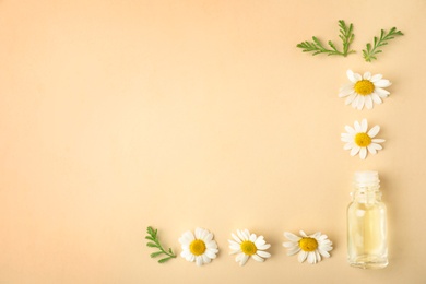 Bottle of essential oil and chamomile flowers on color background, flat lay. Space for text