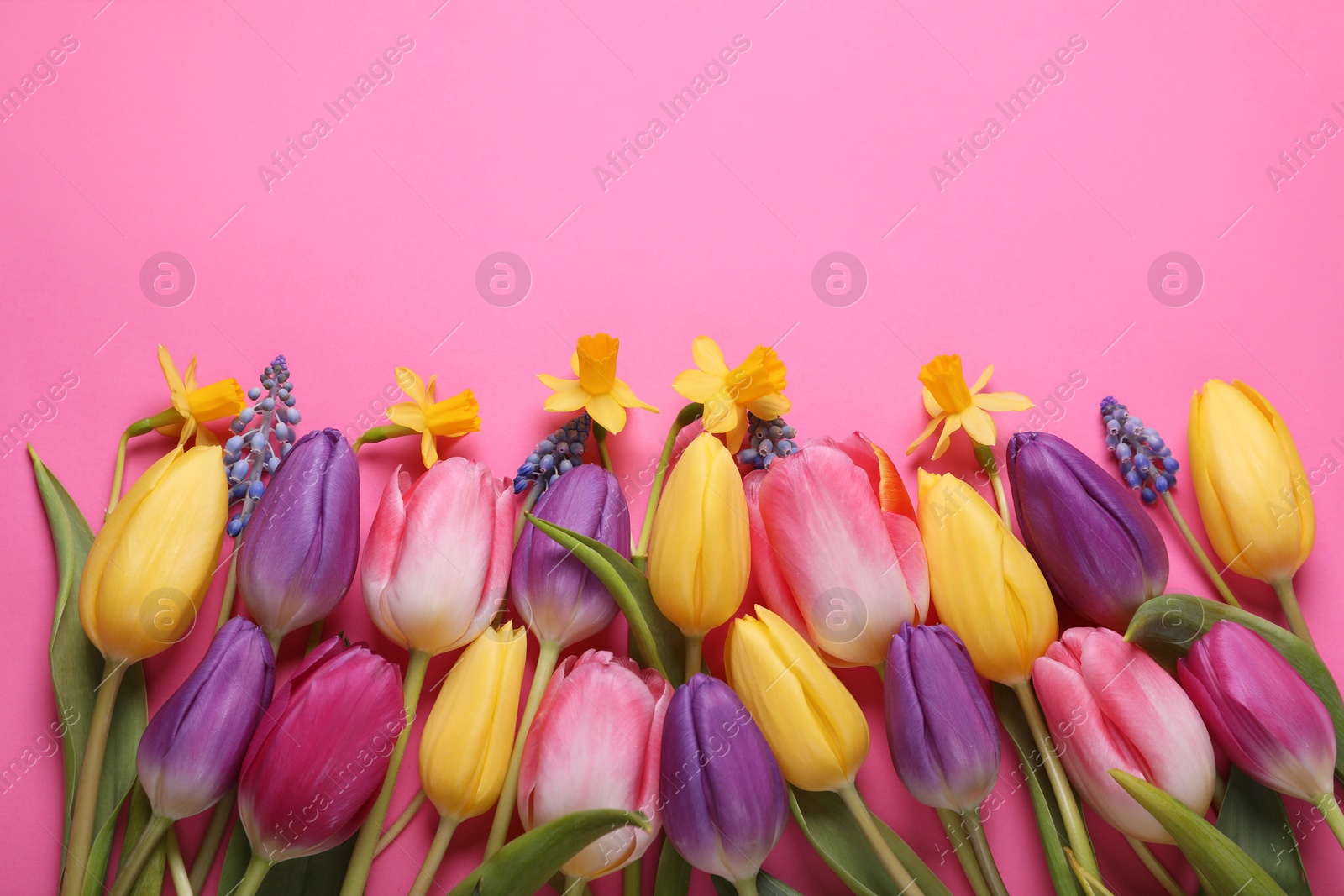 Photo of Beautiful different flowers on pink background, flat lay. Space for text