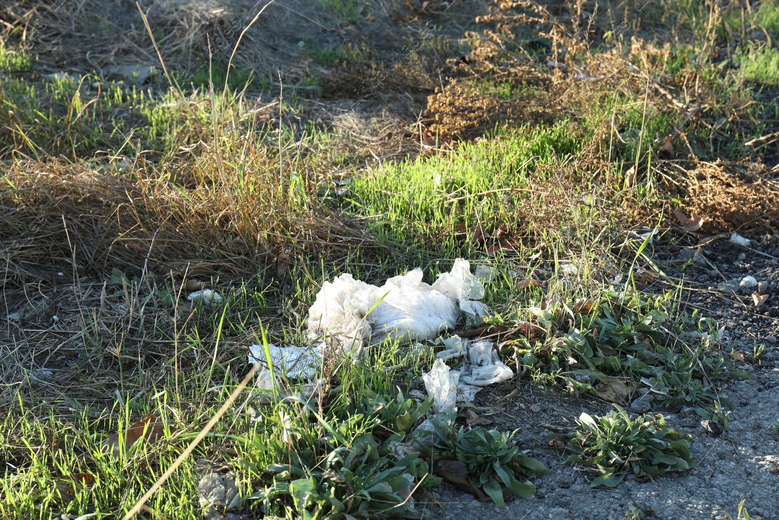 Photo of Different plastic garbage outdoors. Environmental pollution concept