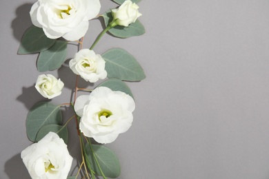 Photo of Eucalyptus branches with fresh green leaves and flowers on gray background. Flat lay composition with space for design