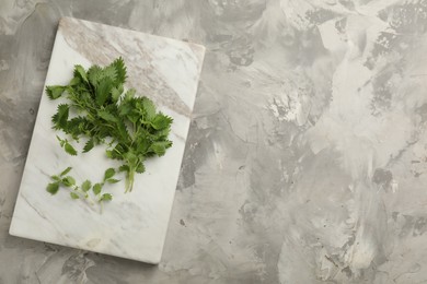 Photo of Fresh stinging nettle leaves on light grey table, top view. Space for text