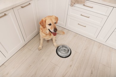 Photo of Cute Labrador Retriever waiting near feeding bowl on floor indoors