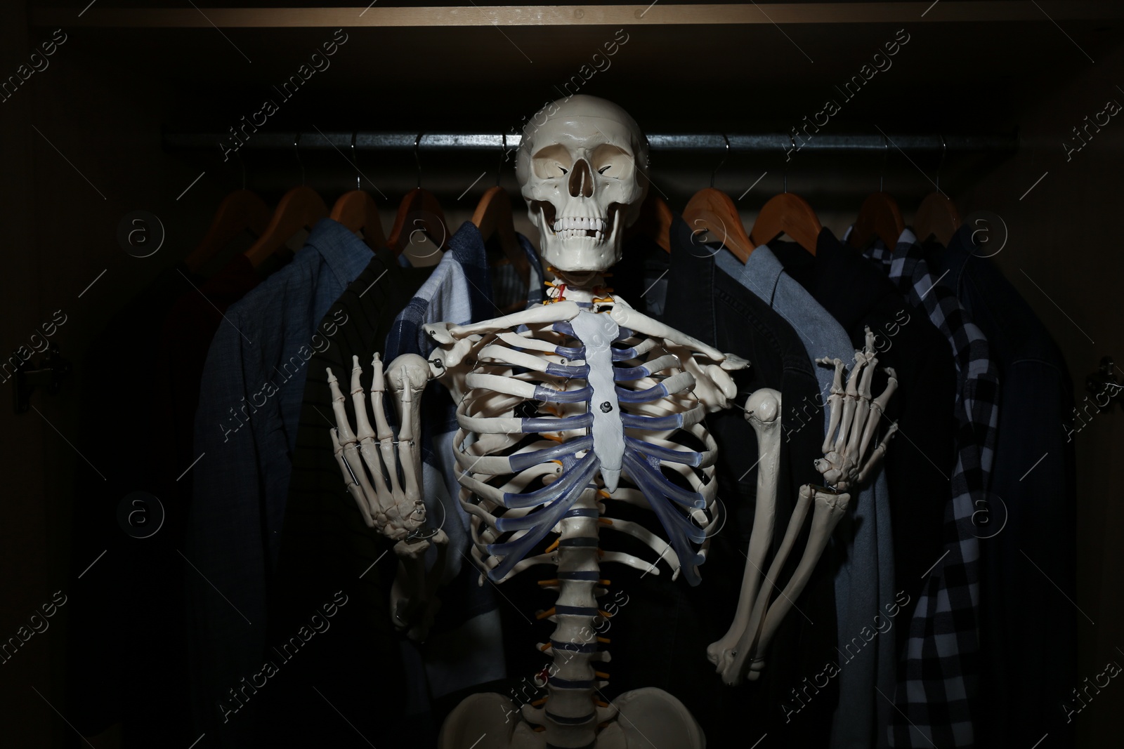 Photo of Artificial human skeleton model among clothes in wardrobe