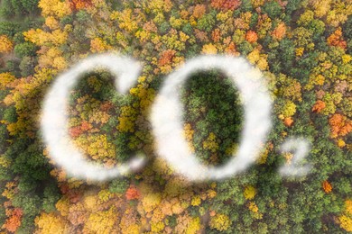 Image of Concept of clear air. CO2 inscription and beautiful forest, top view