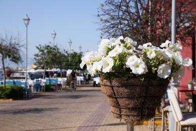 Photo of Hanging pot with beautiful blooming petunia flowers on city street. Space for text