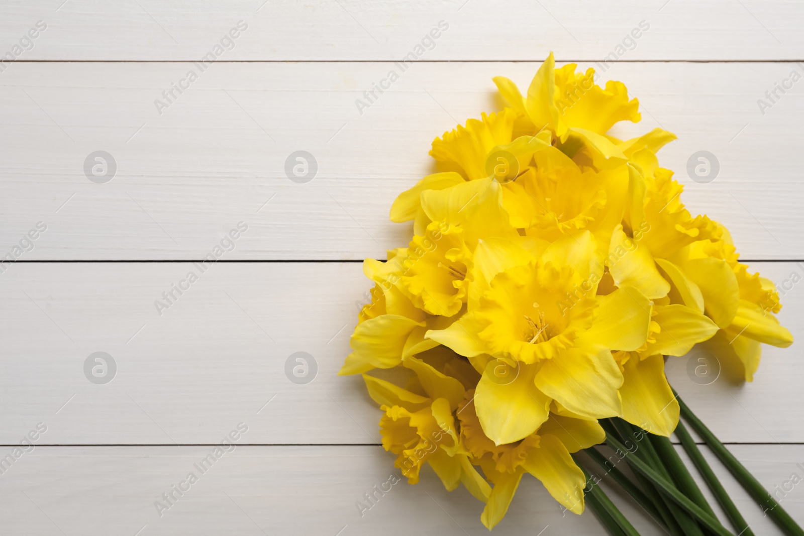 Photo of Beautiful daffodil bouquet on white wooden table, top view. Space for text