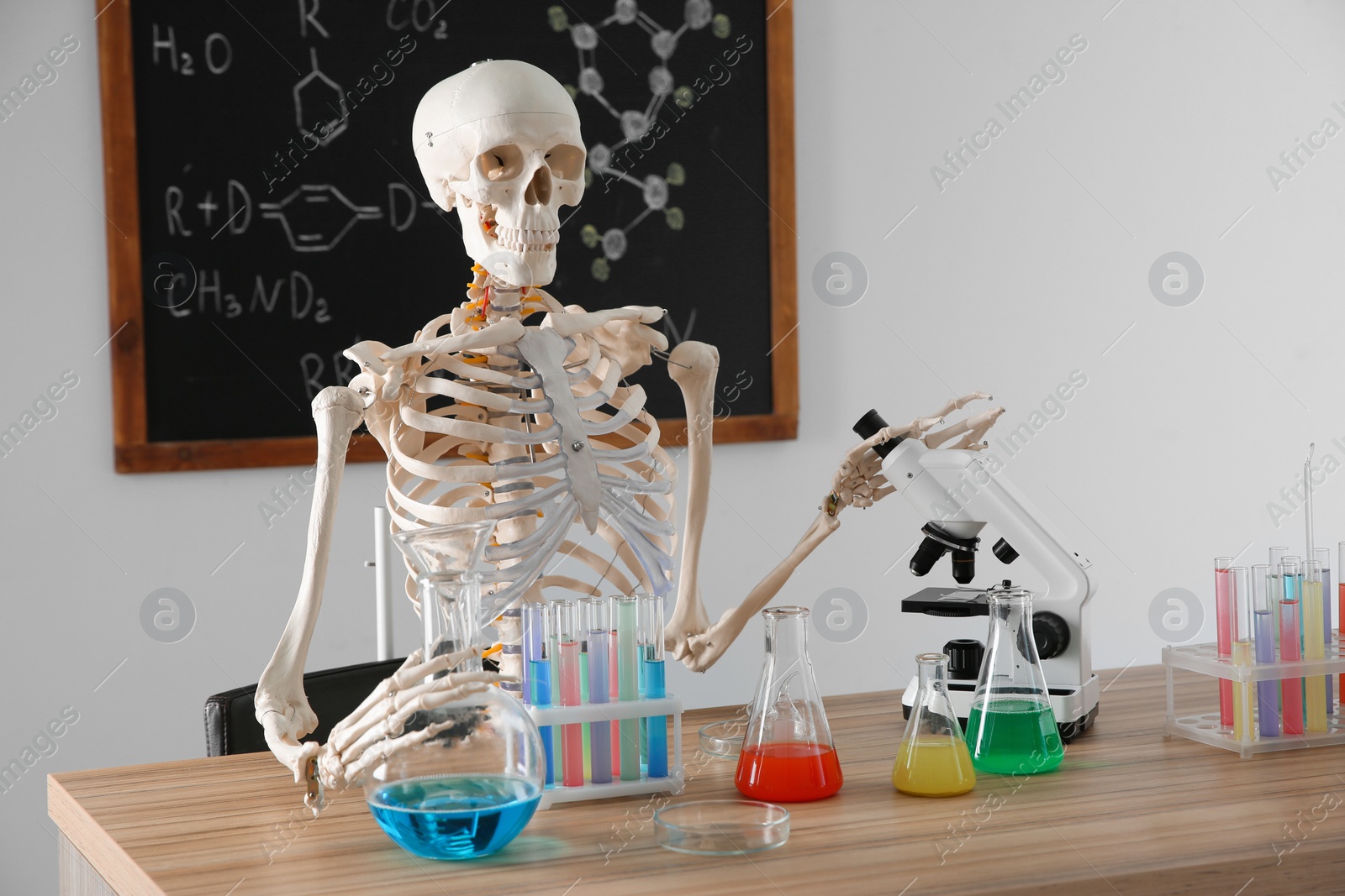 Photo of Skeleton and different chemistry glassware in classroom