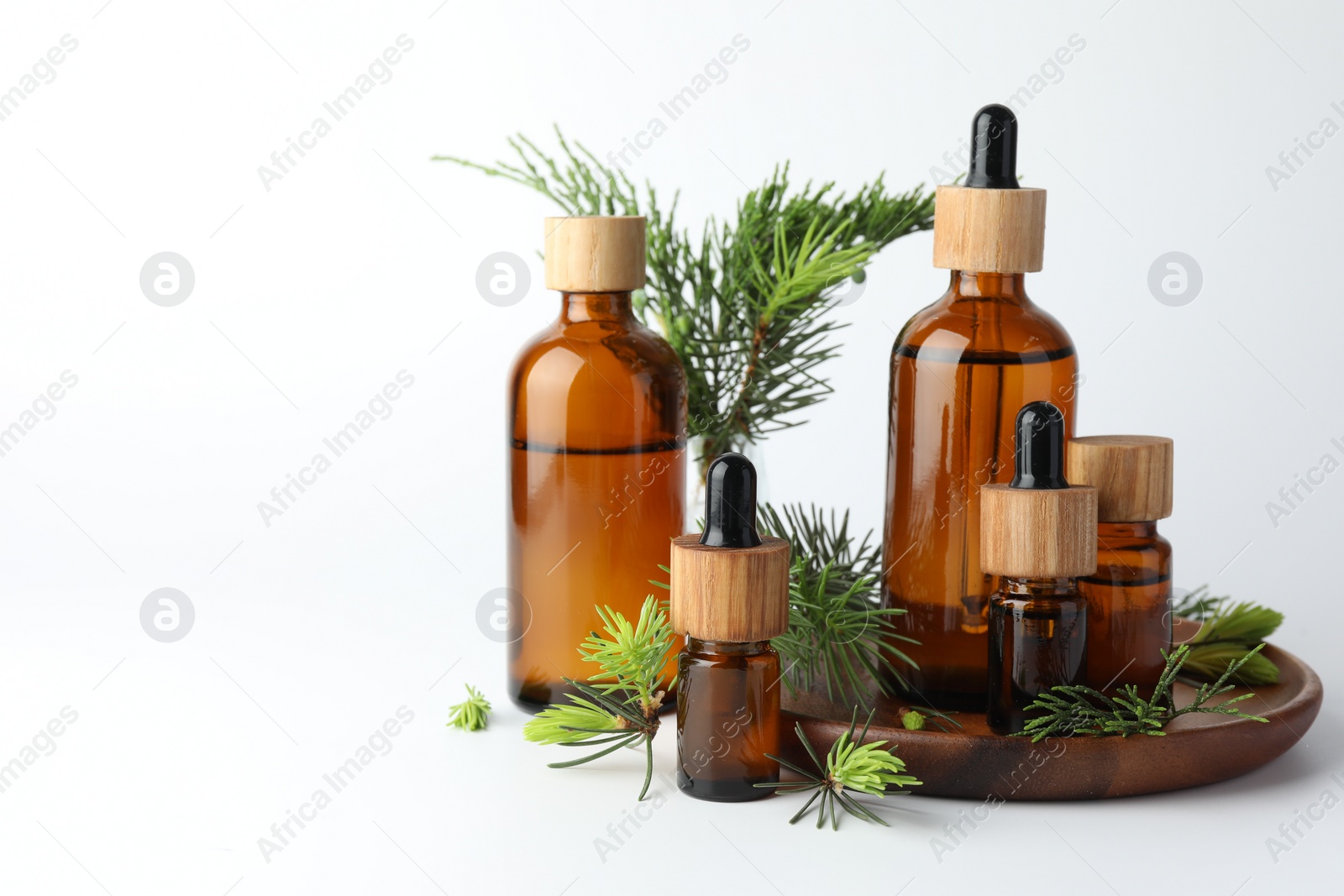 Photo of Aromatherapy. Different essential oils and fir twigs on white background, space for text