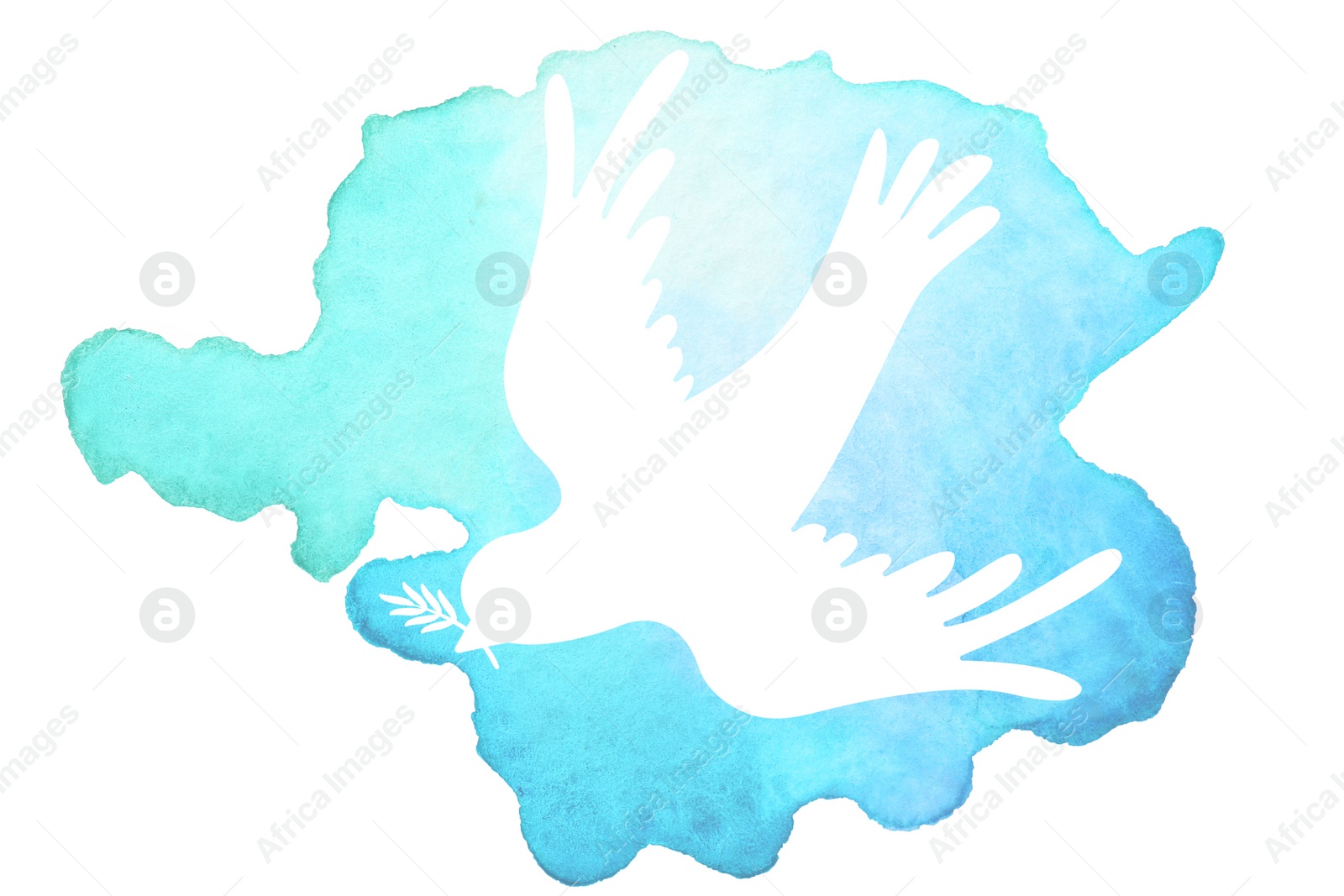 Illustration of Silhouette of dove drawn with watercolor paint on white background