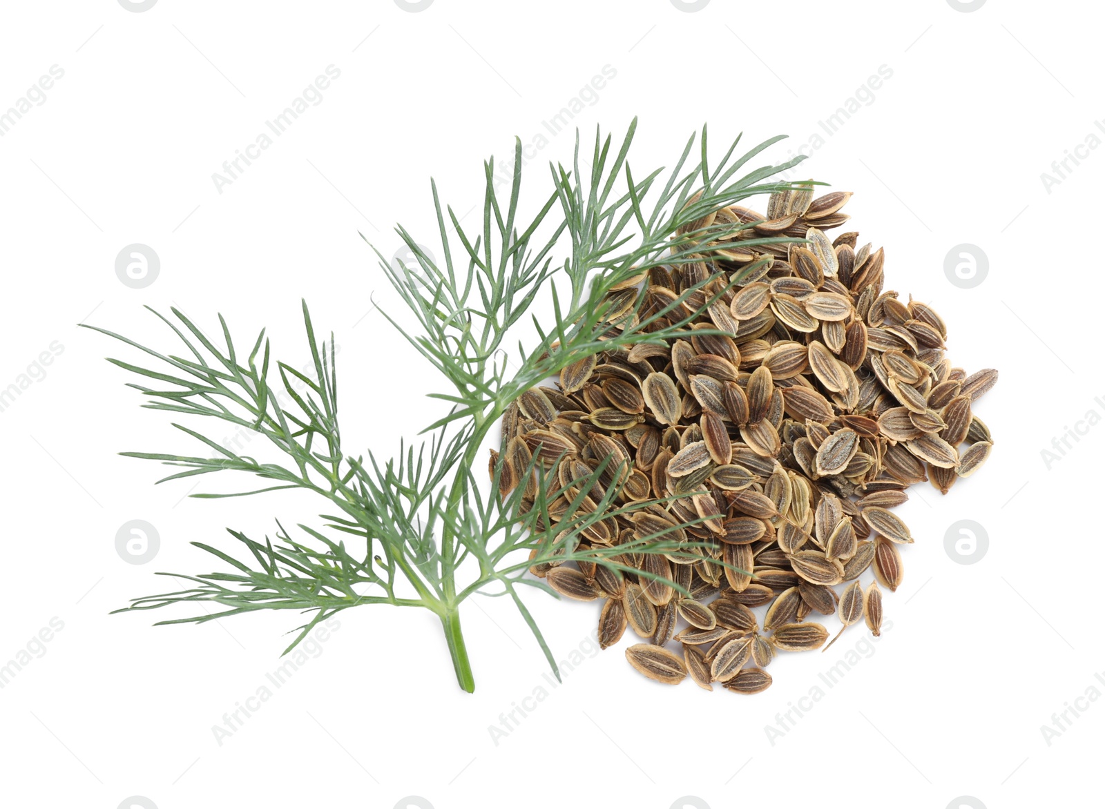 Photo of Pile of dry seeds and fresh dill isolated on white, top view