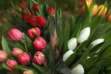 Photo of Beautiful bouquets of colorful tulips outdoors, closeup