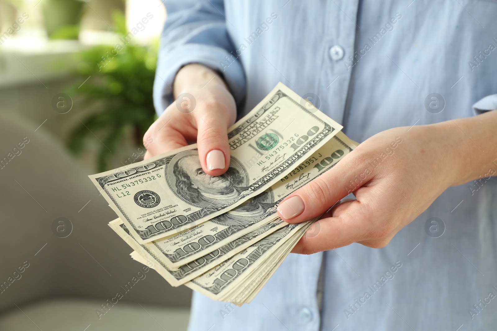 Photo of Money exchange. Woman counting dollar banknotes on blurred background, closeup