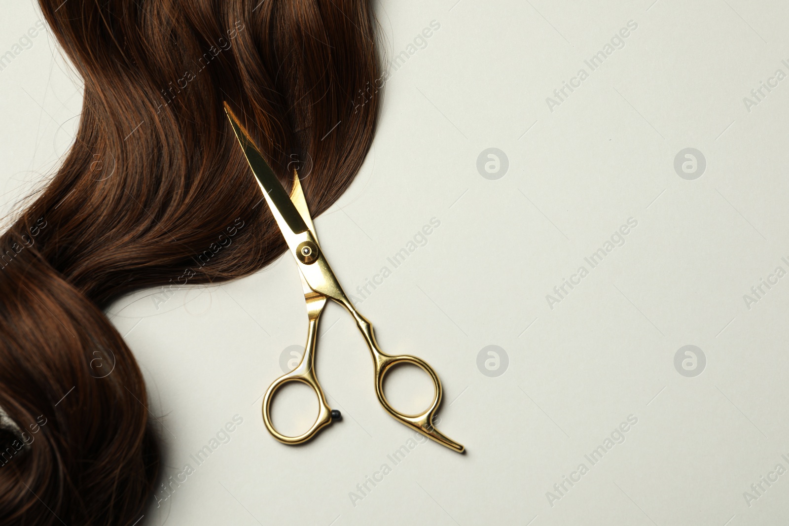 Photo of Professional hairdresser scissors with brown hair strand on light grey background, top view. Space for text