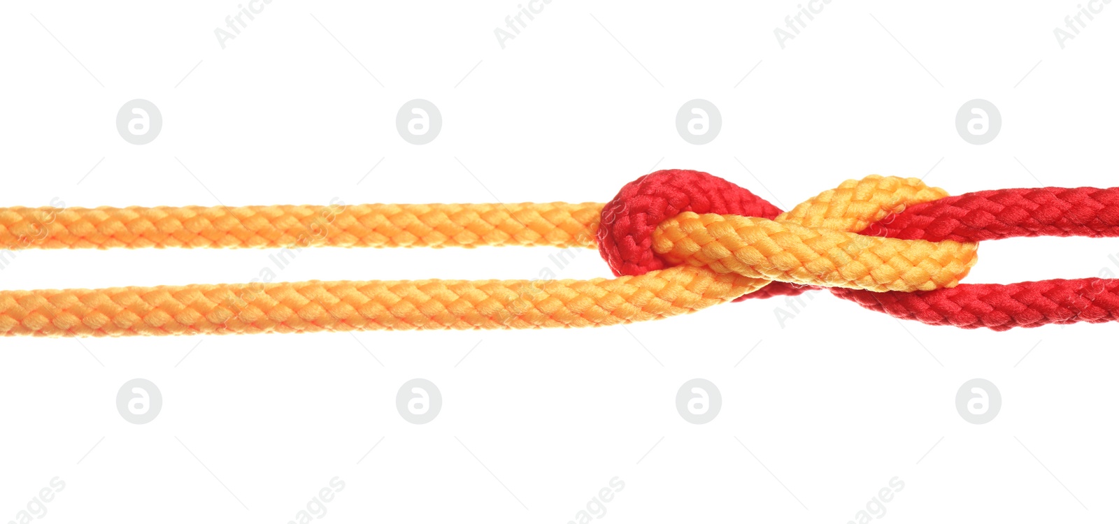 Photo of Colorful ropes tied together with knot isolated on white. Unity concept