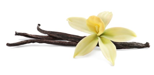 Photo of Aromatic vanilla sticks and beautiful flower on white background