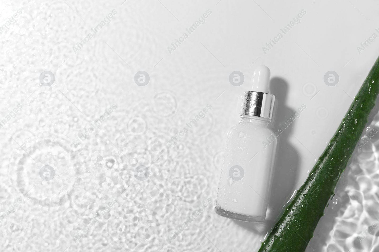 Photo of Bottle of cosmetic product and aloe leaf in water on white background, flat lay. Space for text