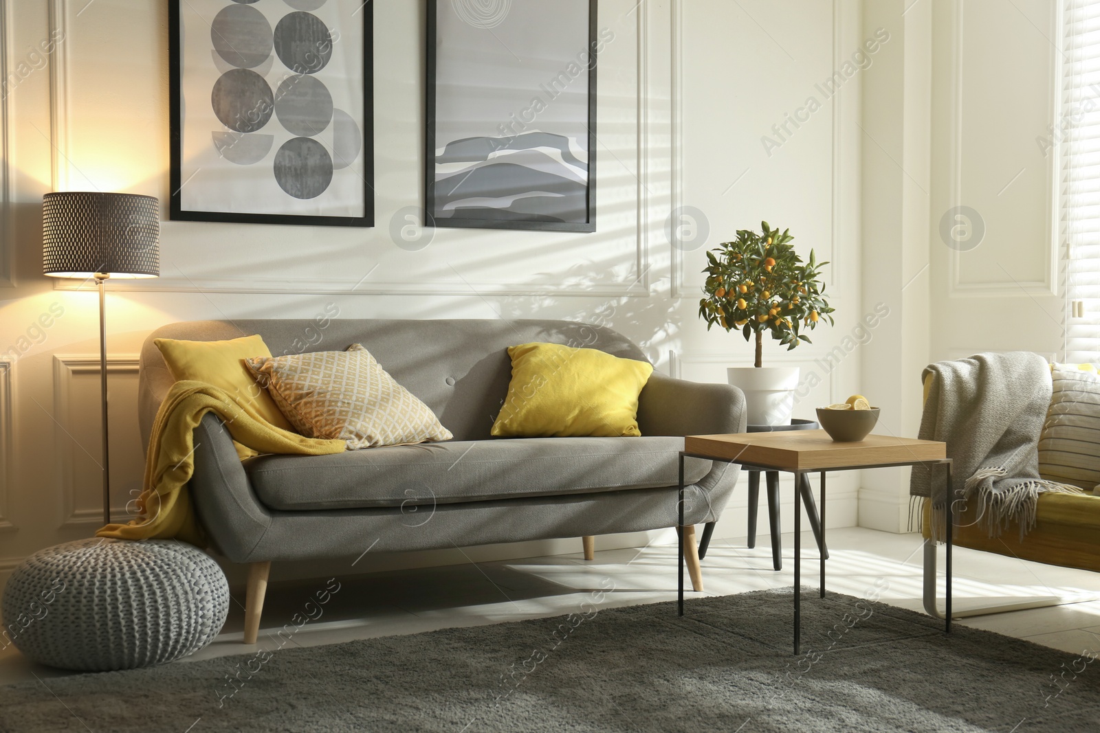 Photo of Stylish living room with sofa. Interior design in grey and yellow colors