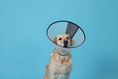 Cute Labrador Retriever with protective cone collar on light blue background