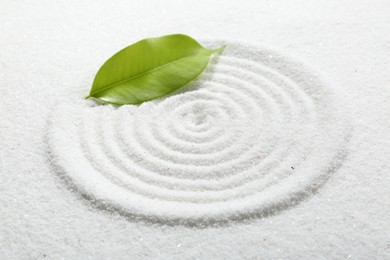 Photo of Zen rock garden. Circle pattern and green leaf on white sand
