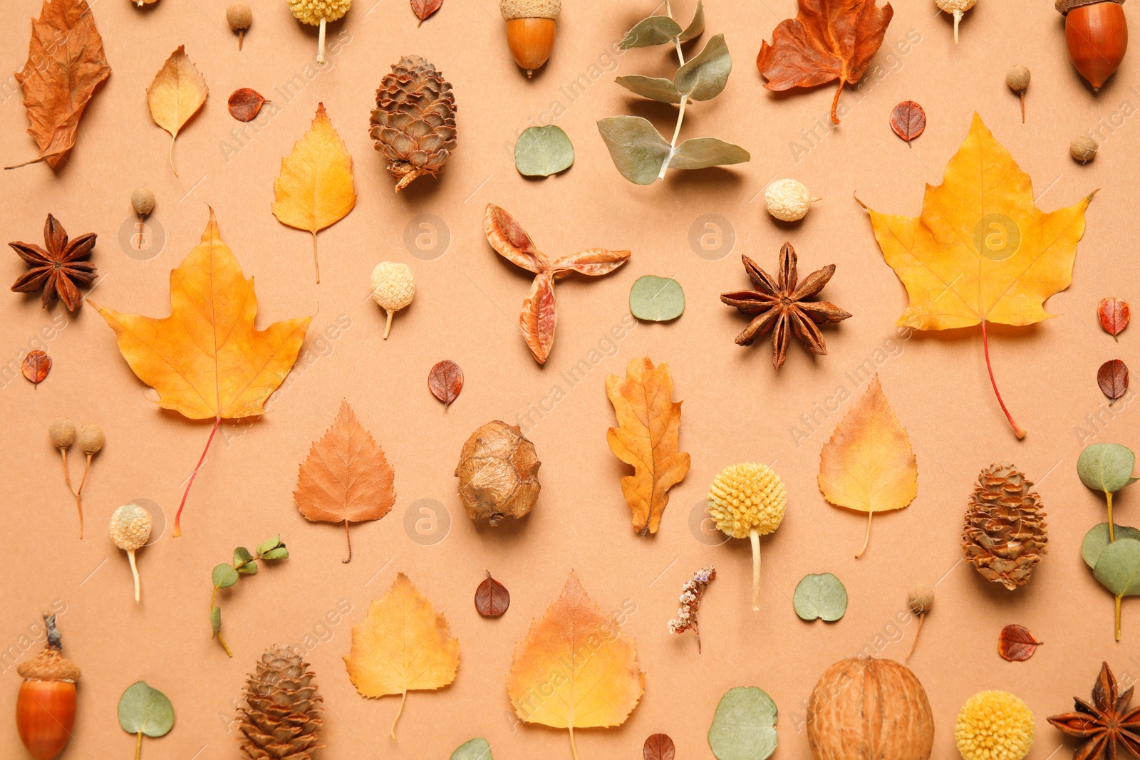 Image of Flat lay composition with autumn leaves on pale orange background