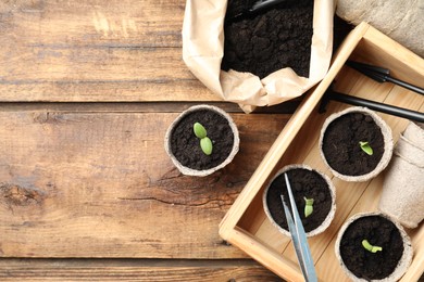 Flat lay composition with young seedlings on wooden table. Space for text