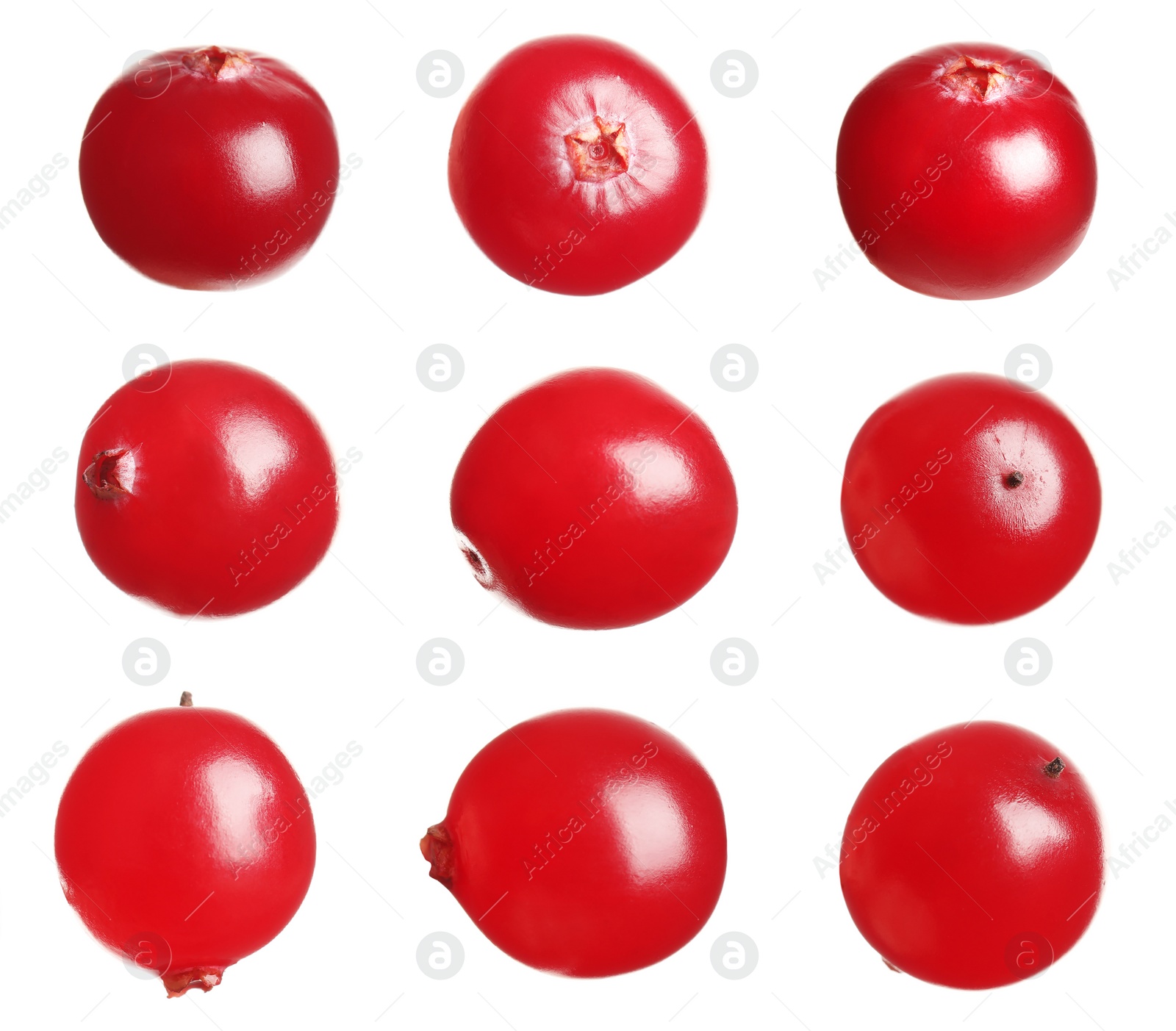 Image of Set of fresh ripe cranberries on white background, closeup view