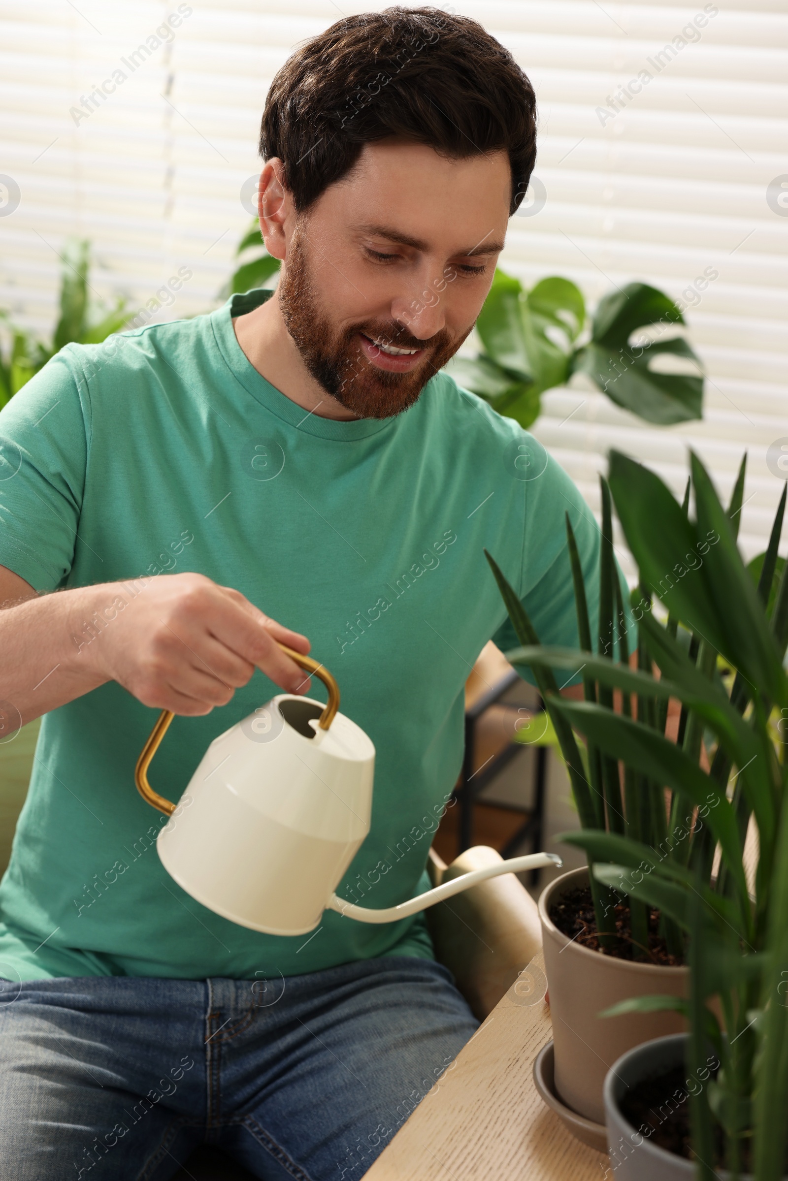 Photo of Man watering beautiful potted houseplants at home