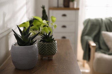 Beautiful potted plants on wooden table indoors, space for text. Floral house decor