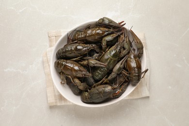 Fresh raw crayfishes on light grey table, top view