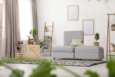 Trendy room interior with sofa and different home plants