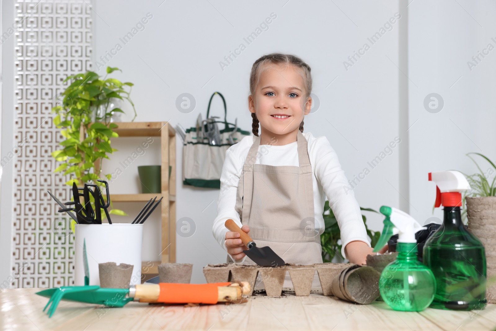 Photo of Little girl adding soil into peat pots at wooden table indoors. Growing vegetable seeds