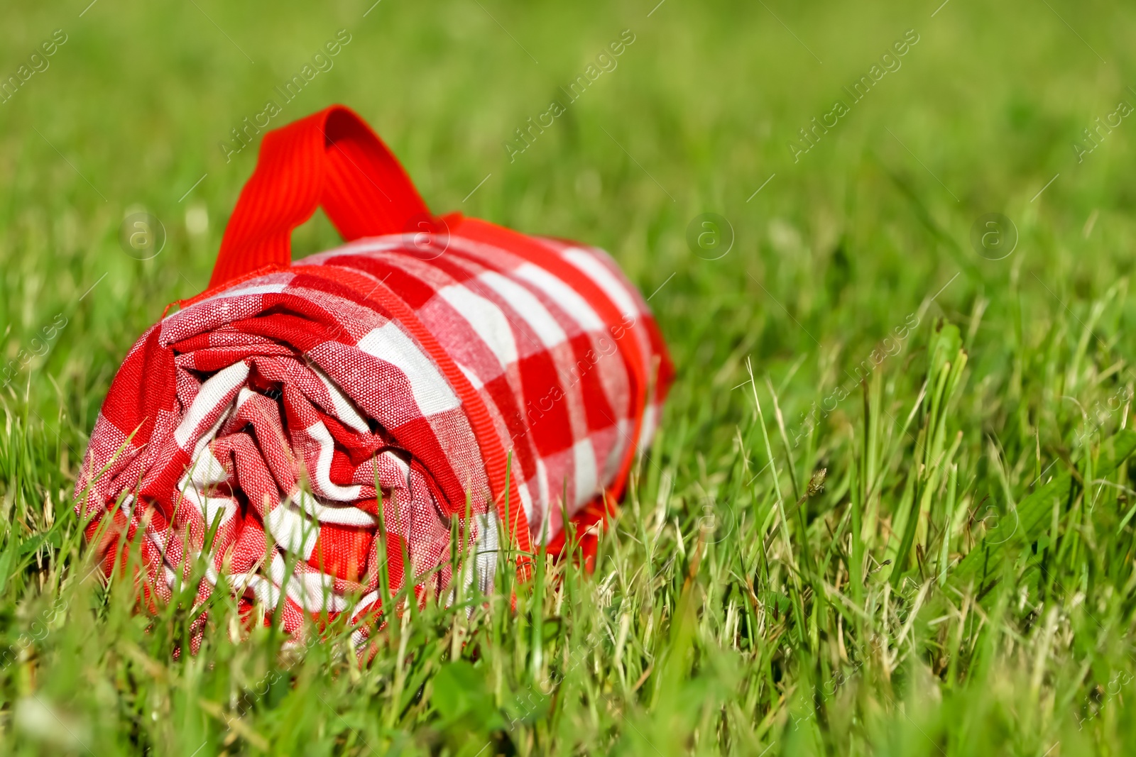 Photo of Rolled checkered picnic tablecloth on green grass, closeup. Space for text