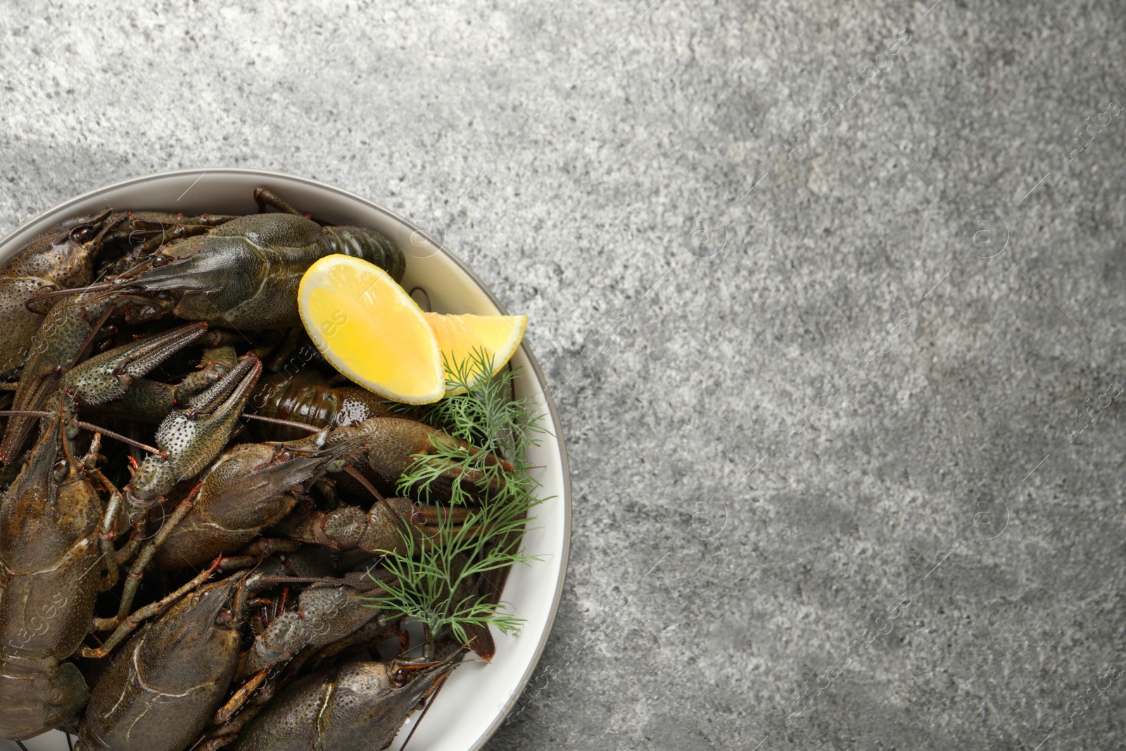 Photo of Fresh raw crayfishes with lemon and dill on grey table, top view. Space for text