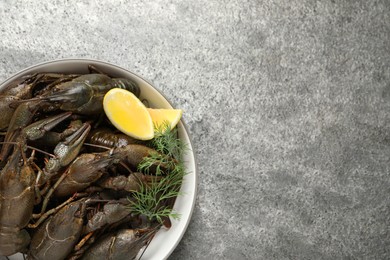 Fresh raw crayfishes with lemon and dill on grey table, top view. Space for text