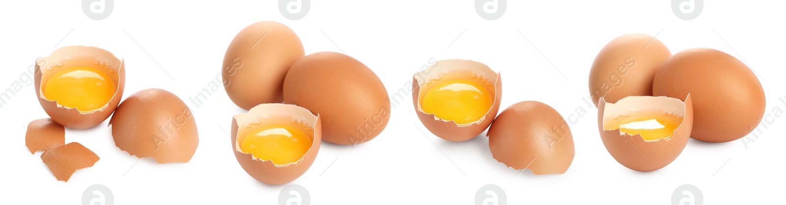 Image of Many eggs and yolks on white background, set