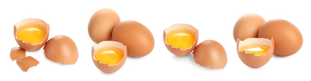 Image of Many eggs and yolks on white background, set