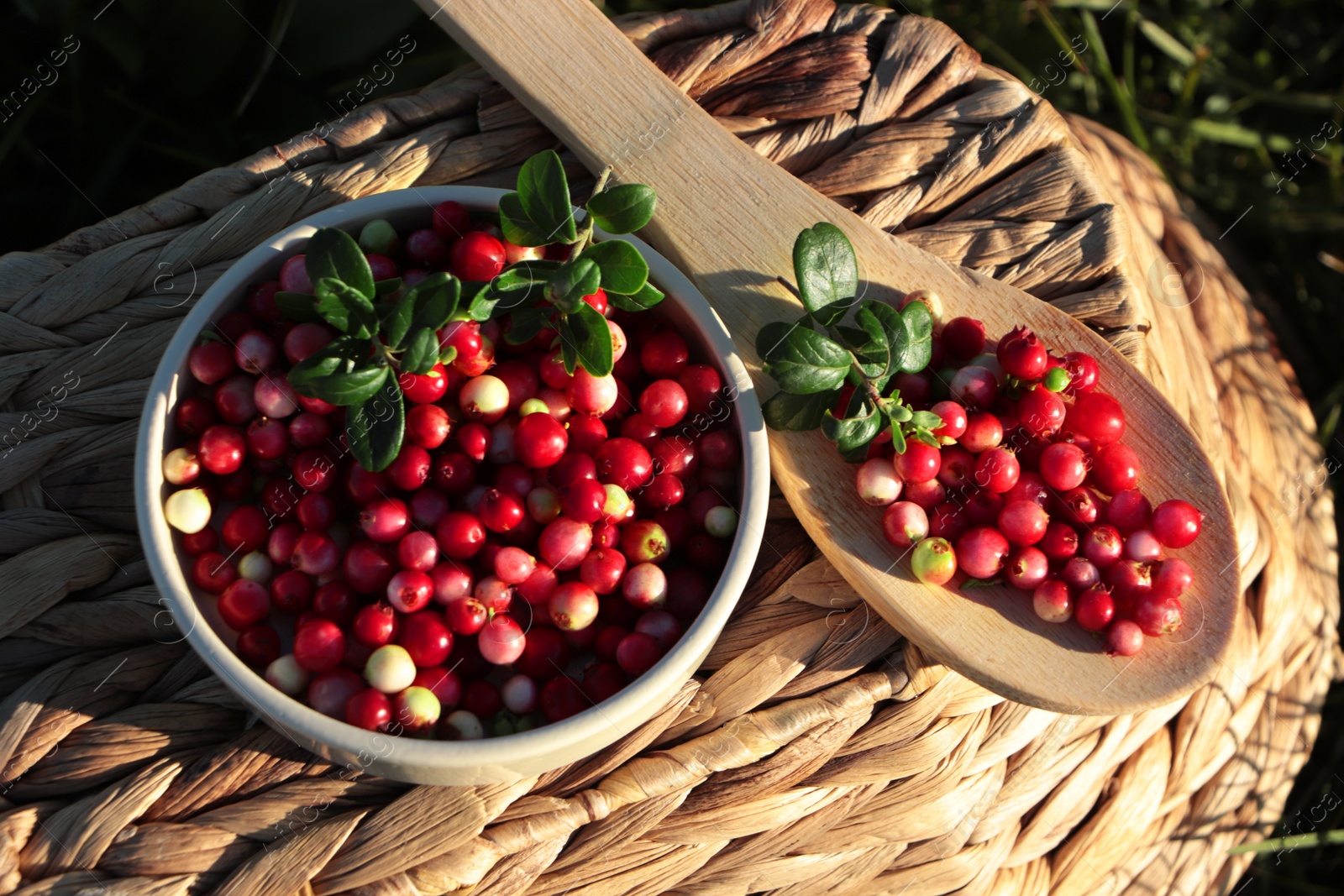 Photo of Delicious ripe red lingonberries in bowl and wooden spoon on wicker basket outdoors, above view