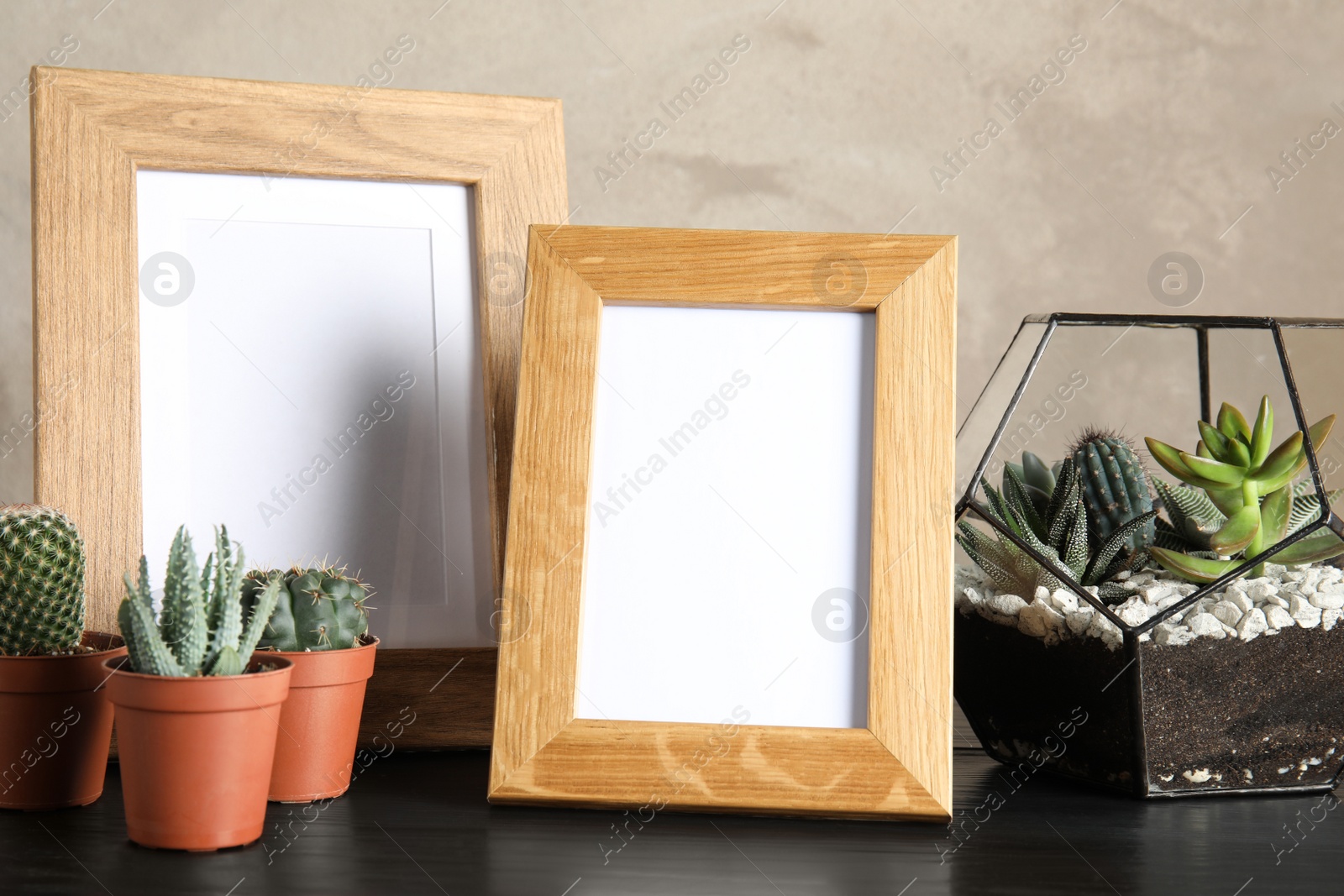 Photo of Succulent plants and photo frames on table near color wall, space for design. Home decor