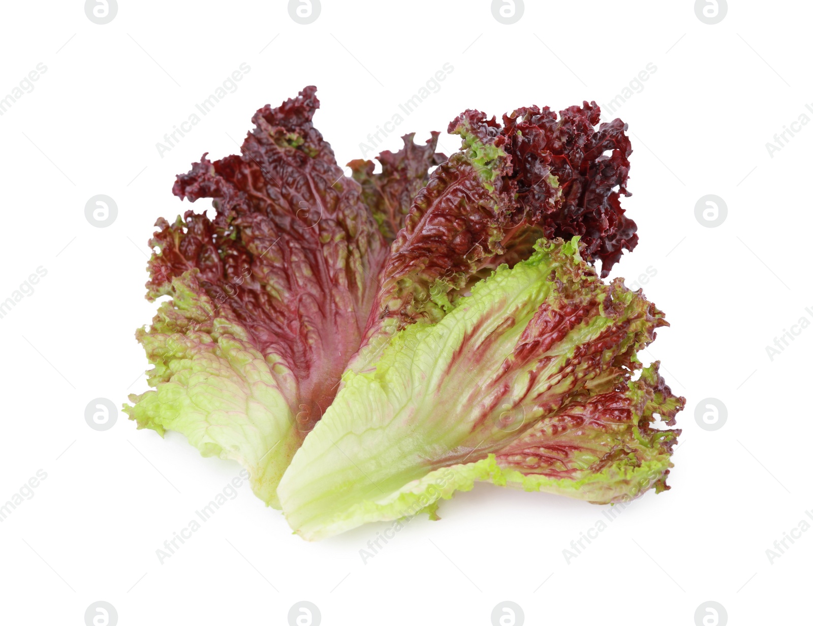 Photo of Leaves of fresh red coral lettuce isolated on white