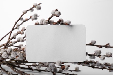 Beautiful blooming willow branches and blank paper card on white background. Space for text