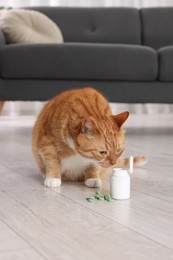 Photo of Cute ginger cat and vitamin pills indoors