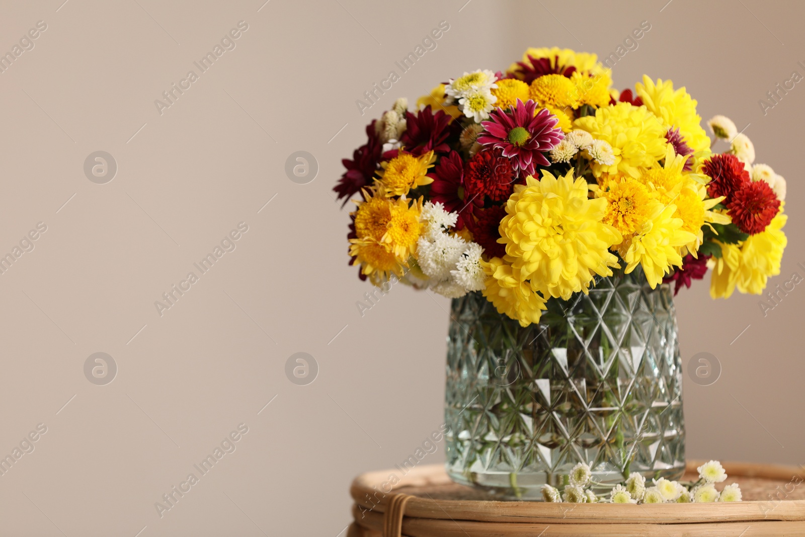 Photo of Bouquet of beautiful chrysanthemum flowers on wicker table indoors, space for text